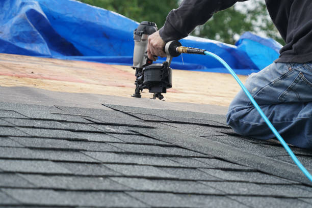 Best Storm Damage Roof Repair  in Renova, MS